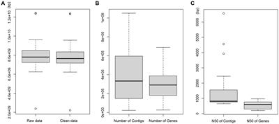 The difference in the composition of gut microbiota is greater among bats of different phylogenies than among those with different dietary habits